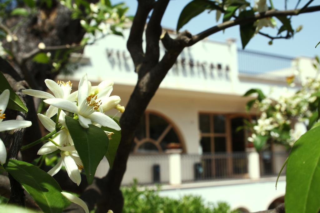 Park Hotel Villa Americana Rodi Garganico Kültér fotó